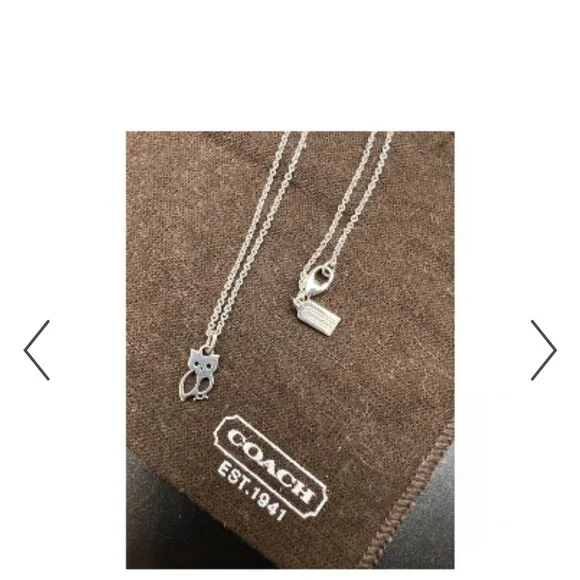 Silver and Rose Gold Owl Pendant Necklace - Picture 2 of 3